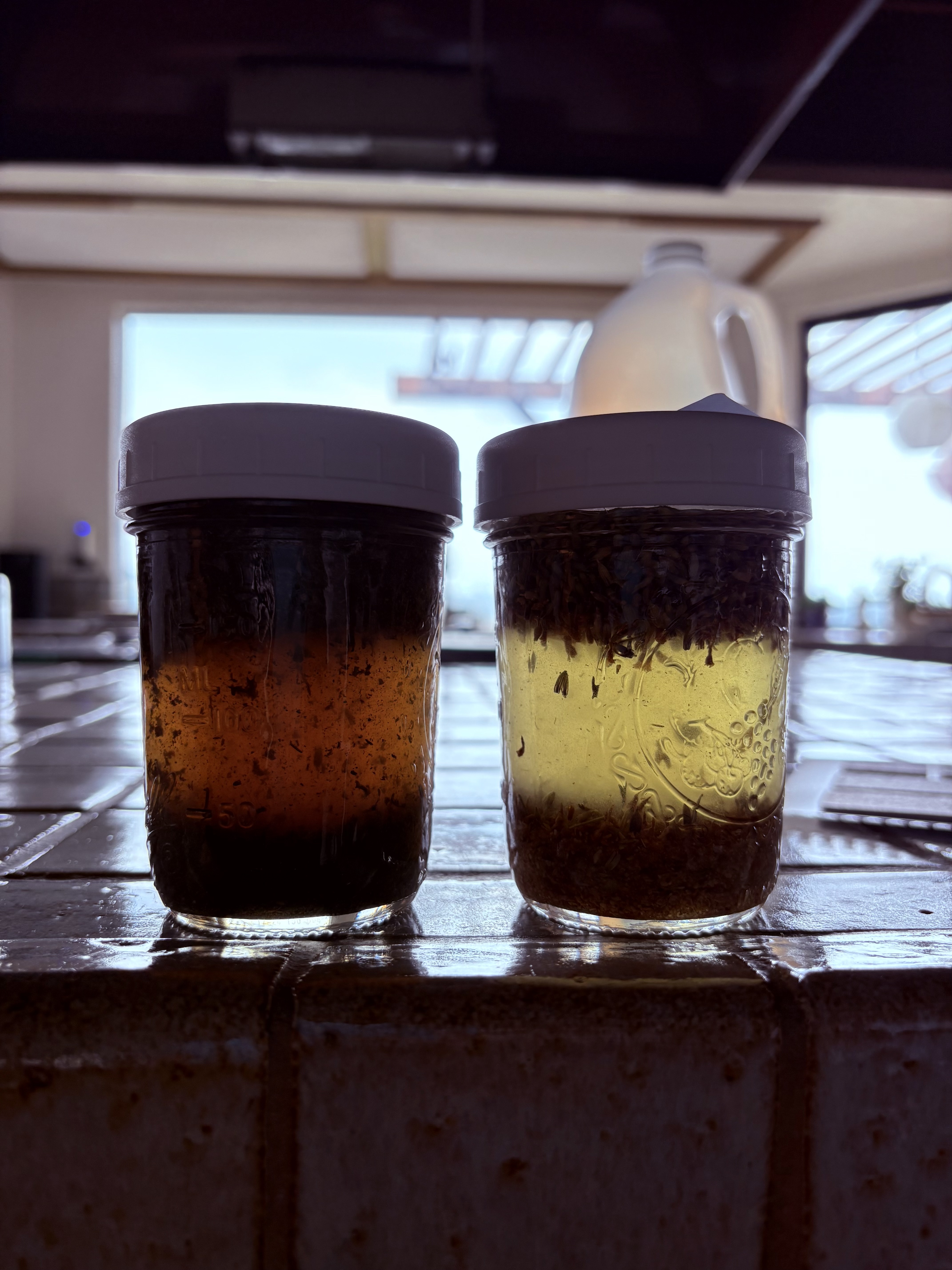 Infusing Vinegars & Rubbing Alcohols