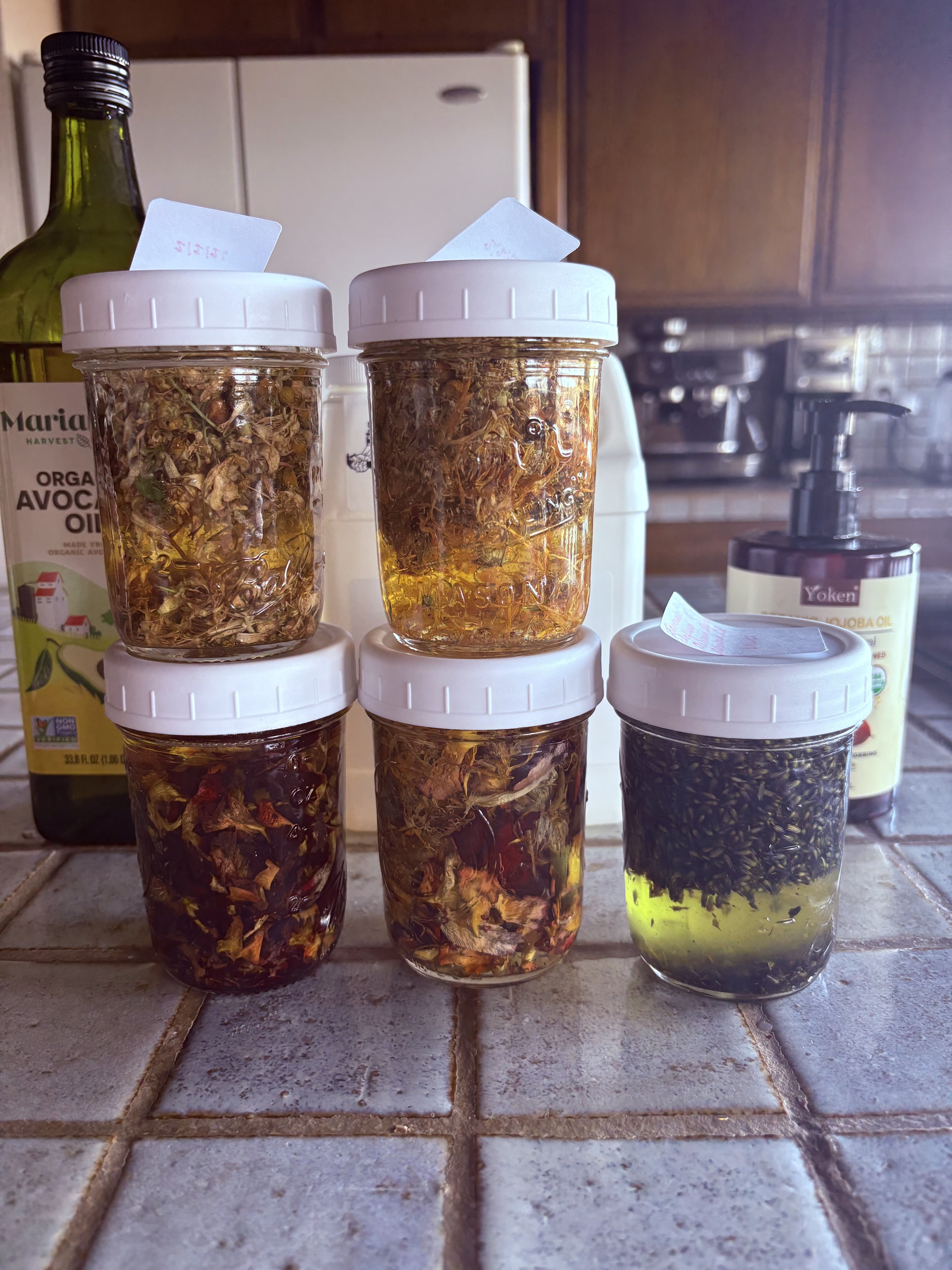 Infusing Oils for Cosmetics